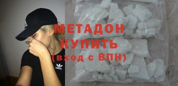 прущие грибы Аркадак