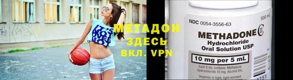 прущие грибы Аркадак