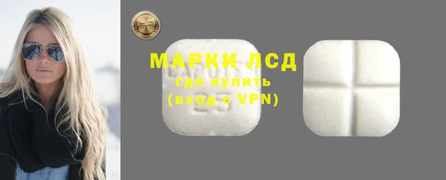 индика Армянск