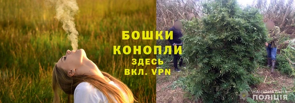 мет Нягань