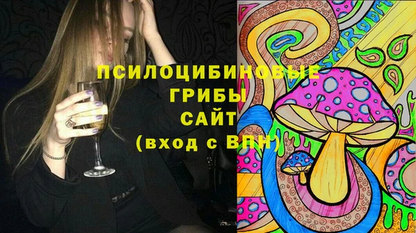 индика Армянск